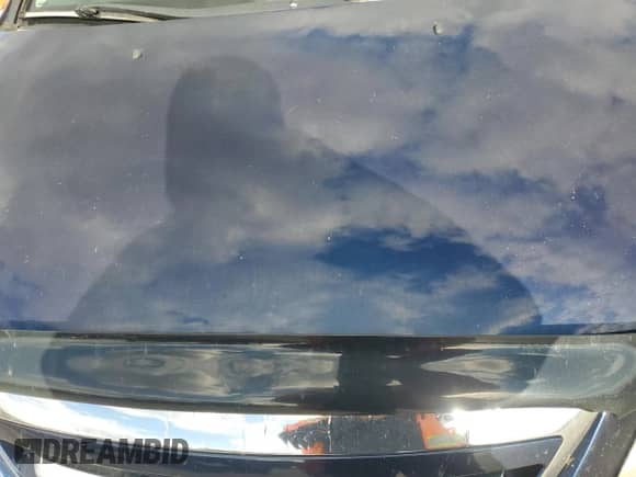 2007 Honda Odyssey EX z VIN 5FNRL38457B102168, wystawiony jako Copart lot #82757595 z przebiegiem 247 516 mil mil oraz Szkoda całkowita • Salvage title. Historia ofert i sprzedaży dostępna na DreamBid. Obrazek 12.