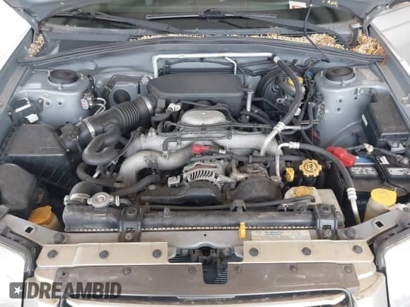 2006 Subaru Forester X с VIN JF1SG65686H752453, выставлен на аукционе IAAI как лот 42618667 с пробегом 98 181 миль миль и . История ставок и продаж доступна на DreamBid. Изображение 10.