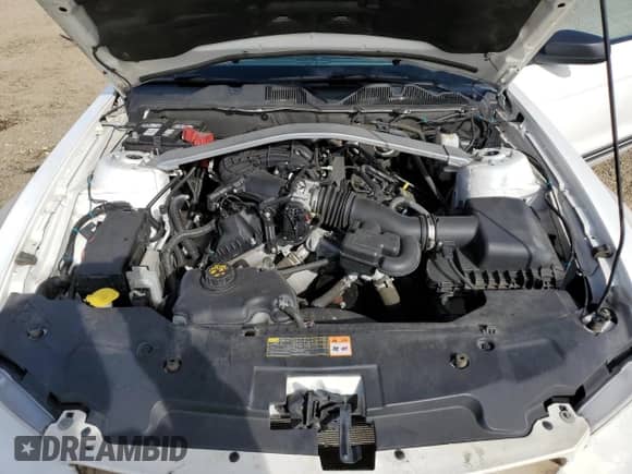 2012 Ford Mustang V6 с VIN 1ZVBP8EM5C5252412, выставлен на аукционе Copart как лот 49006125 с пробегом 124 231 миль миль и Списание • Salvage title. История ставок и продаж доступна на DreamBid. Изображение 11.