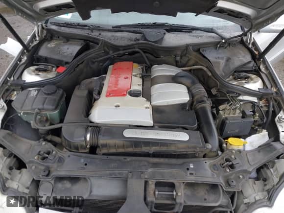 2002 Mercedes-Benz C 230/260/280/320 with VIN WDBRN47J42A257253, listed as a IAAI auction lot 43353747 with Not provided miles and . Bid and sale history available at DreamBid. Image 10.