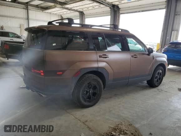 2025 Hyundai Santa Fe XRT with VIN 5NMP3DGL2SH125419, listed as a Copart auction lot 67094925 with 5,194 mi miles and Salvage title. Bid and sale history available at DreamBid. Image 3.