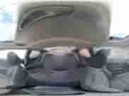 2010 Hyundai Genesis Coupe Premium with VIN KMHHT6KD7AU025044, listed as a Copart auction lot 81506345 with 121,978 mi miles and Salvage title. Bid and sale history available at DreamBid. Image 14.