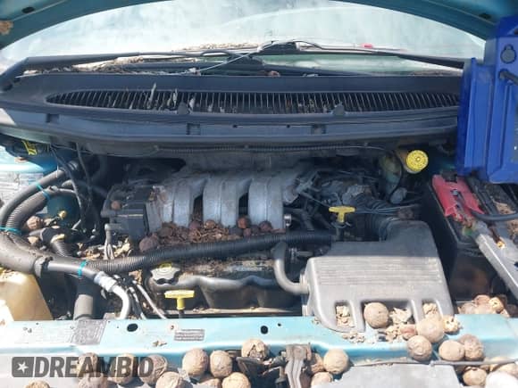 1996 Dodge Grand Caravan with VIN 1B4GP54R8TB458827, listed as a IAAI auction lot 42074872 with 97,566 mi miles and . Bid and sale history available at DreamBid. Image 10.