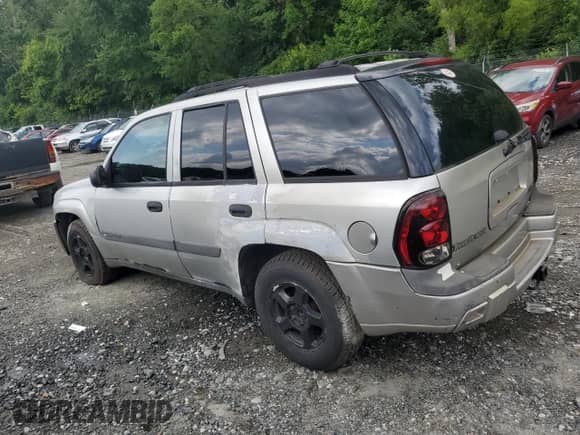 2004 Chevrolet TrailBlazer LT with VIN 1GNDS13S342302480, listed as a Copart auction lot 64365275 with 263,074 mi miles and Salvage title. Bid and sale history available at DreamBid. Image 2.