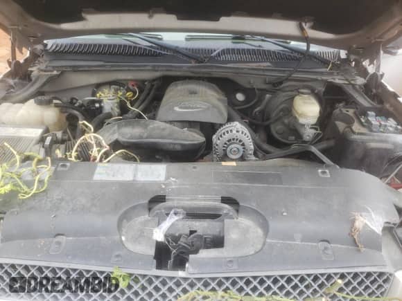 2005 Chevrolet Silverado 1500 LS with VIN 1GCEK19T35E208631, listed as a Copart auction lot 66189615 with Not provided miles and Salvage title. Bid and sale history available at DreamBid. Image 11.