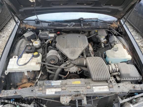 1996 Chevrolet Caprice 1SA Special Value с VIN 1G1BL52PXTR170382, выставлен на аукционе Copart как лот 69959215 с пробегом Не указан миль и На запчасти • Non repairable. История ставок и продаж доступна на DreamBid. Изображение 11.