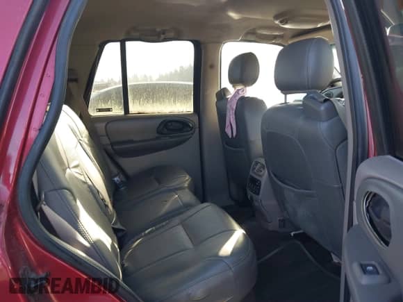 2002 Chevrolet TrailBlazer LS z VIN 1GNDT13S722423460, wystawiony jako IAAI lot #41401201 z przebiegiem 203 385 mil mil oraz . Historia ofert i sprzedaży dostępna na DreamBid. Obrazek 8.