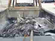 2020 GMC Sierra 1500 Elevation with VIN 1GTR9CED3LZ267014, listed as a IAAI auction lot 41754483 with Not provided miles and . Bid and sale history available at DreamBid. Image 8.