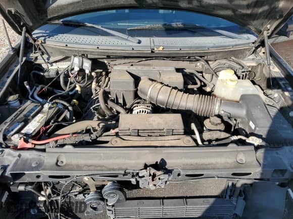 2014 Ford F-150 XLT с VIN 1FTFW1E60EFA57167, выставлен на аукционе Copart как лот 82957904 с пробегом 141 952 миль миль и Списание • Salvage title. История ставок и продаж доступна на DreamBid. Изображение 12.