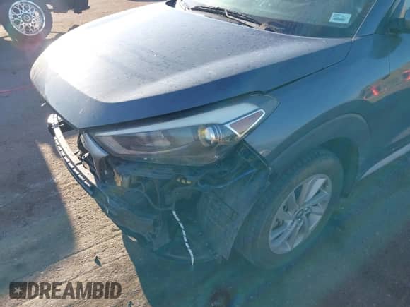 2017 Hyundai Tucson SE с VIN KM8J33A43HU529862, выставлен на аукционе IAAI как лот 43020605 с пробегом 116 936 миль миль и . История ставок и продаж доступна на DreamBid. Изображение 6.