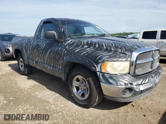 2002 Dodge 1500 z VIN 1D7HA16N22J125755, wystawiony jako Copart lot #65762095 z przebiegiem 133 327 mil mil oraz Szkoda całkowita • Salvage title. Historia ofert i sprzedaży dostępna na DreamBid. Obrazek 4.