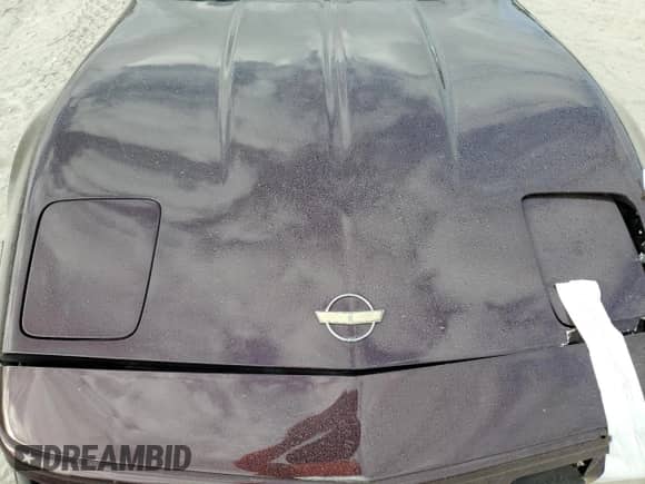 1994 Chevrolet Corvette with VIN 1G1YY22PXR5104229, listed as a Copart auction lot 74204594 with Not provided miles and Salvage title. Bid and sale history available at DreamBid. Image 11.