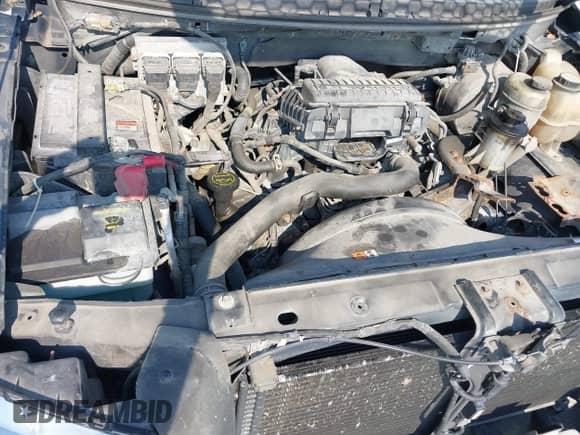 2004 Ford F-150 XLT with VIN 1FTPW12544KD24431, listed as a IAAI auction lot 39820919 with Not provided miles and . Bid and sale history available at DreamBid. Image 10.