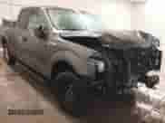 2017 Ford F-150 XL z VIN 1FTEX1E82HFB75381, wystawiony jako IAAI lot #41583133 z przebiegiem 40 675 mil mil oraz . Historia ofert i sprzedaży dostępna na DreamBid. Obrazek 1.