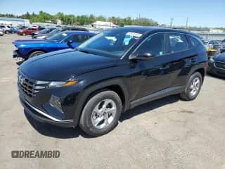 2024 Hyundai Tucson с VIN NMJACDE2RH415570, выставлен на аукционе Copart как лот 55420445 с пробегом 4 186 миль миль и Списание • Salvage title. История ставок и продаж доступна на DreamBid. Изображение 1.
