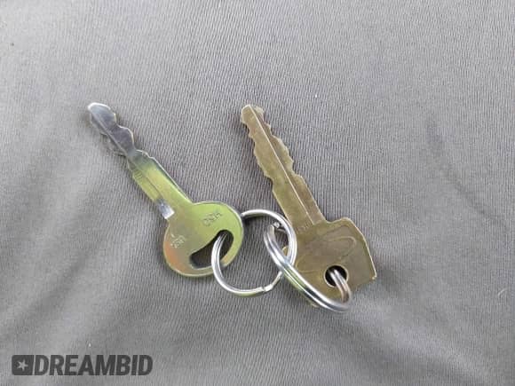 1990 Ford F-150 with VIN 1FTEX14N9LKB45253, listed as a IAAI auction lot 43464898 with 51,429 mi miles and . Bid and sale history available at DreamBid. Image 11.