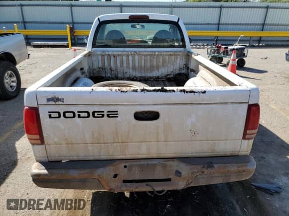 1999 Dodge Dakota SLT with VIN 1B7FL26X0XS273052, listed as a Copart auction lot 73429864 with 177,094 mi miles and Salvage title. Bid and sale history available at DreamBid. Image 10.