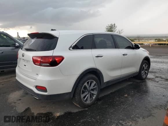 2020 Kia Sorento S with VIN 5XYPGDA56LG683560, listed as a Copart auction lot 59028985 with 89,643 mi miles and Salvage title. Bid and sale history available at DreamBid. Image 3.