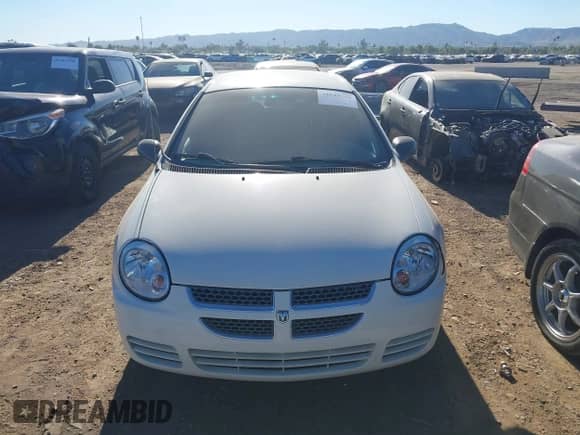 2003 Dodge Neon SE с VIN 1B3ES26C63D170021, выставлен на аукционе IAAI как лот 43545759 с пробегом 148 734 миль миль и . История ставок и продаж доступна на DreamBid. Изображение 6.