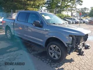 2019 Ford F-150 XLT с VIN 1FTEW1EPXKFA90791, выставлен на аукционе IAAI как лот 43169223 с пробегом 178 755 миль миль и . История ставок и продаж доступна на DreamBid. Изображение 1.
