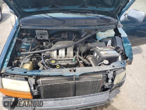 1994 Dodge Caravan with VIN 1B7GH14R0RX250221, listed as a Copart auction lot 59031785 with 246,573 mi miles and Salvage title. Bid and sale history available at DreamBid. Image 12.