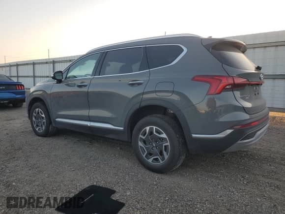 2023 Hyundai Santa Fe Blue with VIN 5NMS2DA11PH023024, listed as a Copart auction lot 52204065 with 10,074 mi miles and Salvage title. Bid and sale history available at DreamBid. Image 2.