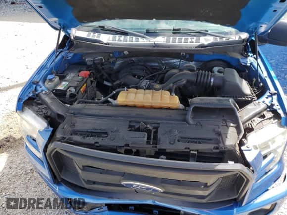 2016 Ford F-150 XL z VIN 1FTEX1C89GFB51001, wystawiony jako Copart lot #85181785 z przebiegiem 176 940 mil mil oraz Szkoda całkowita • Salvage title. Historia ofert i sprzedaży dostępna na DreamBid. Obrazek 11.