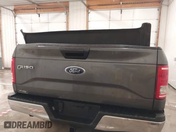 2017 Ford F-150 XL z VIN 1FTEX1E82HFB75381, wystawiony jako IAAI lot #41583133 z przebiegiem 40 675 mil mil oraz . Historia ofert i sprzedaży dostępna na DreamBid. Obrazek 17.