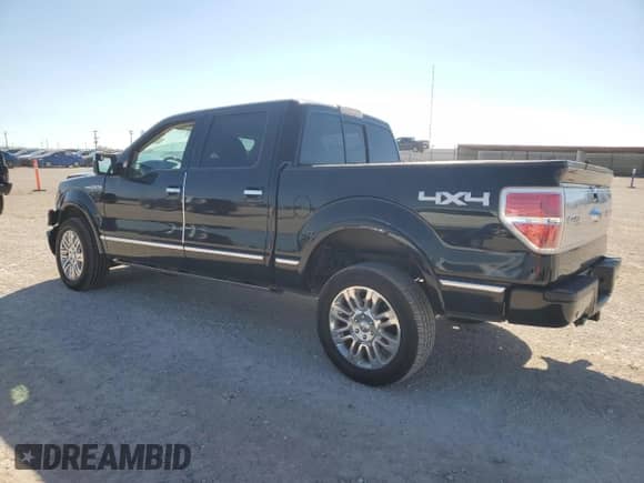 2009 Ford F-150 XL with VIN 1FTPW14V49FA98789, listed as a Copart auction lot 86885775 with 197,470 mi miles and Salvage title. Bid and sale history available at DreamBid. Image 2.