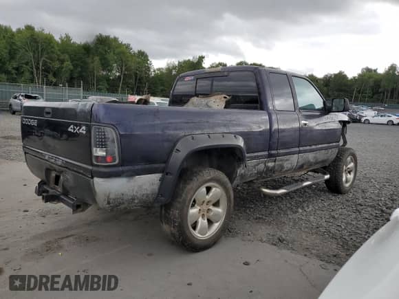 1999 Dodge 1500 с VIN 3B7HF13Z7XG198342, выставлен на аукционе Copart как лот 69011885 с пробегом Не указан миль и Списание • Salvage title. История ставок и продаж доступна на DreamBid. Изображение 3.