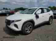 2024 Hyundai Tucson SE with VIN 5NMJACDE7RH419646, listed as a Copart auction lot 66102515 with Not provided miles and Salvage title. Bid and sale history available at DreamBid. Image 1.