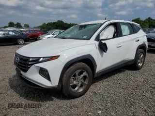 2024 Hyundai Tucson SE with VIN 5NMJACDE7RH419646, listed as a Copart auction lot 66102515 with Not provided miles and Salvage title. Bid and sale history available at DreamBid. Image 1.