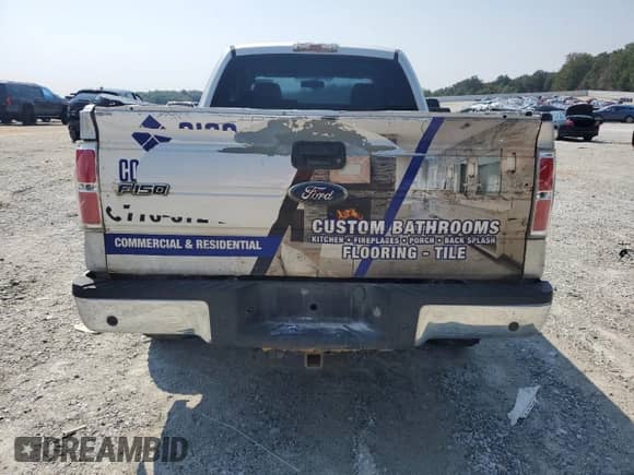 2009 Ford F-150 STX with VIN 1FTRX12W69KB73890, listed as a Copart auction lot 71760015 with 525,469 mi miles and Salvage title. Bid and sale history available at DreamBid. Image 6.