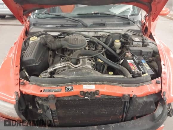 1997 Dodge Dakota с VIN 1B7FL26Y5VS100228, выставлен на аукционе IAAI как лот 43462387 с пробегом 149 710 миль миль и . История ставок и продаж доступна на DreamBid. Изображение 10.