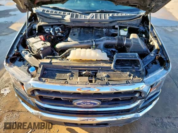 2023 Ford F-150 XL z VIN 1FTFW1E82PFA35353, wystawiony jako Copart lot #71209985 z przebiegiem Nie podano mil oraz Szkoda całkowita • Salvage title. Historia ofert i sprzedaży dostępna na DreamBid. Obrazek 11.