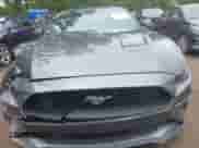 2021 Ford Mustang EcoBoost с VIN 1FATP8UH5M5122133, выставлен на аукционе IAAI как лот 42440803 с пробегом 78 111 миль миль и . История ставок и продаж доступна на DreamBid. Изображение 12.