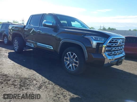 2024 Toyota Tundra 1794 Edition with VIN 5TFMA5DB1RX201000, listed as a IAAI auction lot 42174097 with 7,110 mi miles and . Bid and sale history available at DreamBid. Image 1.