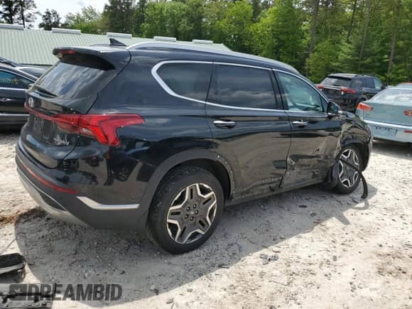 2023 Hyundai Santa Fe SEL Premium with VIN 5NMS3DA10PH002842, listed as a Copart auction lot 58332835 with 55,134 mi miles and Salvage title. Bid and sale history available at DreamBid. Image 3.