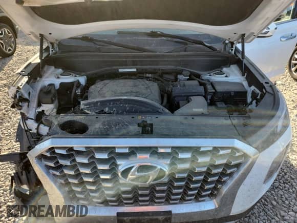 2020 Hyundai Palisade SEL with VIN KM8R2DHEXLU044881, listed as a Copart auction lot 80876265 with 67,841 mi miles and Clean title. Bid and sale history available at DreamBid. Image 12.