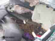 2009 Honda Accord EX-L с VIN 1HGCS12859A001265, выставлен на аукционе IAAI как лот 43384729 с пробегом Не указан миль и . История ставок и продаж доступна на DreamBid. Изображение 8.