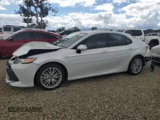 2020 Toyota Camry Hybrid XLE with VIN 4T1F31AK7LU540994, listed as a Copart auction lot 80225775 with 48,355 mi miles and Salvage title. Bid and sale history available at DreamBid. Image 1.