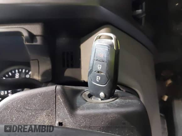 2019 Ford F-150 XL with VIN 1FTFX1E55KKC06597, listed as a IAAI auction lot 43227795 with 234,069 mi miles and . Bid and sale history available at DreamBid. Image 11.