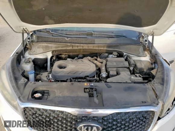 2016 Kia Sorento EX with VIN 5XYPH4A10GG038371, listed as a Copart auction lot 84934625 with 123,562 mi miles and Salvage title. Bid and sale history available at DreamBid. Image 12.