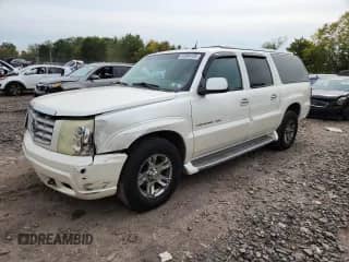 2004 Cadillac Escalade ESV with VIN 3GYFK66N34G209285, listed as a Copart auction lot 81894155 with 142,604 mi miles and Salvage title. Bid and sale history available at DreamBid. Image 1.