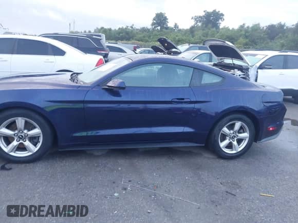 2019 Ford Mustang EcoBoost с VIN 1FA6P8TH6K5166797, выставлен на аукционе IAAI как лот 43300529 с пробегом 29 950 миль миль и . История ставок и продаж доступна на DreamBid. Изображение 14.