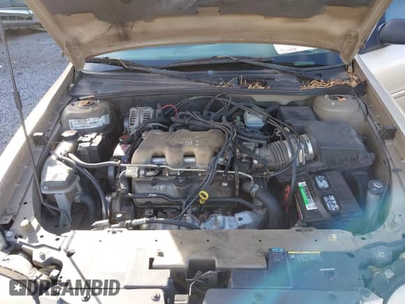 2003 Chevrolet Malibu с VIN 1G1ND52J83M681849, выставлен на аукционе IAAI как лот 41639628 с пробегом Не указан миль и . История ставок и продаж доступна на DreamBid. Изображение 10.