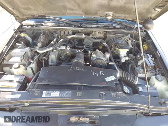 1997 Chevrolet S-10 LS с VIN 1GCCS144XVK192582, выставлен на аукционе IAAI как лот 41429469 с пробегом 73 464 миль миль и . История ставок и продаж доступна на DreamBid. Изображение 10.