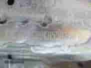 2019 Dodge Challenger SRT Hellcat Redeye Widebody with VIN 2C3CDZL99KH550770, listed as a IAAI auction lot 42827961 with 69,799 mi miles and . Bid and sale history available at DreamBid. Image 9.