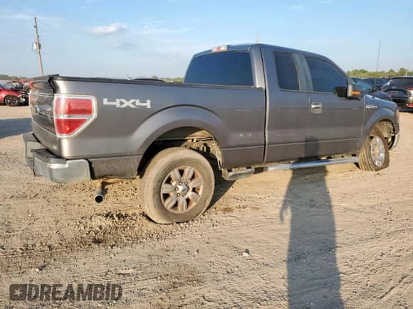 2010 Ford F-150 XL with VIN 1FTFX1EV5AFC95059, listed as a Copart auction lot 82278655 with 206,504 mi miles and Salvage title. Bid and sale history available at DreamBid. Image 3.