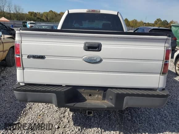 2010 Ford F-150 XL with VIN 1FTEX1C89AFA69051, listed as a Copart auction lot 89711095 with Not provided miles and Clean title. Bid and sale history available at DreamBid. Image 6.